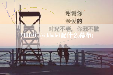 VIDDAC1(viddadc1配什么幕布)