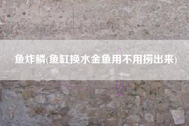 鱼炸鳞(鱼缸换水金鱼用不用捞出来)