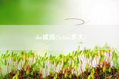 she成员(Selina多大)