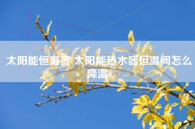 太阳能恒温器(太阳能热水器恒温阀怎么降温)