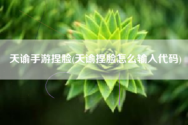 天谕手游捏脸(天谕捏脸怎么输入代码)