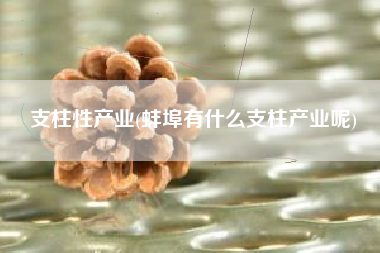 支柱性产业(蚌埠有什么支柱产业呢)