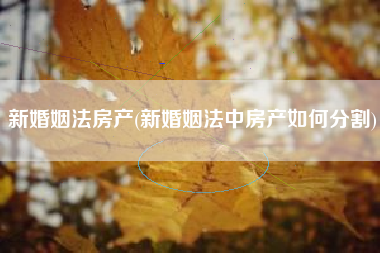 新婚姻法房产(新婚姻法中房产如何分割)