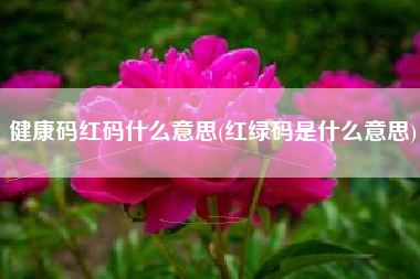 健康码红码什么意思(红绿码是什么意思)