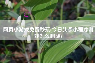 网页小游戏免费秒玩(今日头条小程序游戏怎么删除)