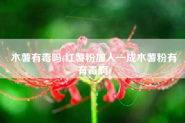 木薯有毒吗(红薯粉加入一成木薯粉有沒有毒啊)