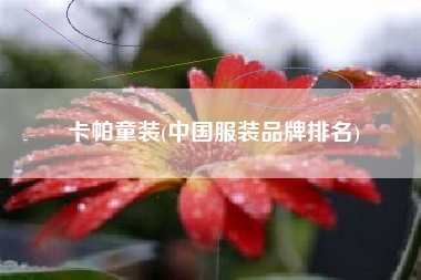 卡帕童装(中国服装品牌排名)