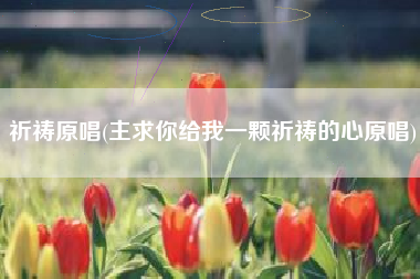 祈祷原唱(主求你给我一颗祈祷的心原唱)