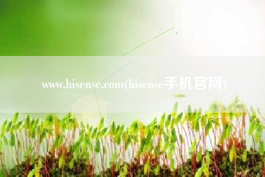 www.hisense.com(hisense手机官网)