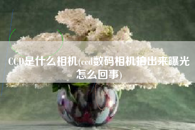 CCD是什么相机(ccd数码相机拍出来曝光怎么回事)