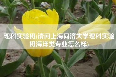 理科实验班(请问上海同济大学理科实验班海洋类专业怎么样)