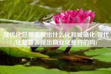 现代化总要表现出什么化和城镇化(现代化总要表现出商业化是对的吗)