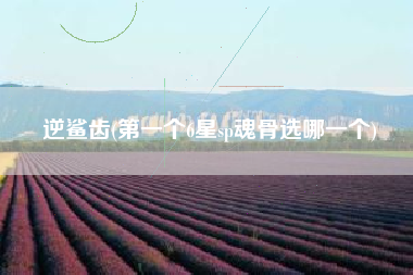 逆鲨齿(第一个6星sp魂骨选哪一个)
