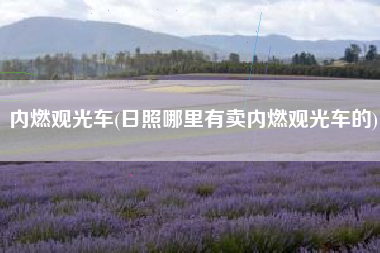 内燃观光车(日照哪里有卖内燃观光车的)