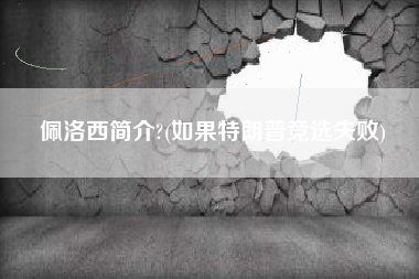 佩洛西简介?(如果特朗普竞选失败)