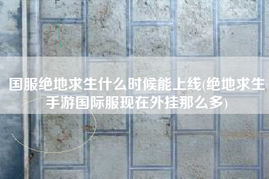 国服绝地求生什么时候能上线(绝地求生手游国际服现在外挂那么多)