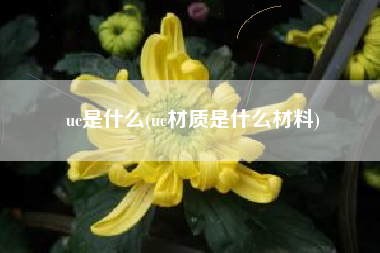 uc是什么(uc材质是什么材料)