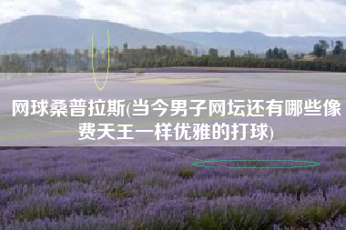 网球桑普拉斯(当今男子网坛还有哪些像费天王一样优雅的打球)