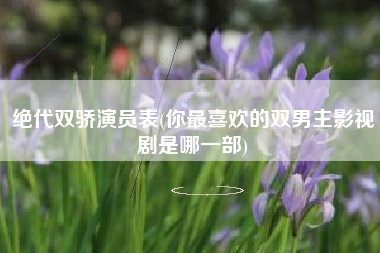 绝代双骄演员表(你最喜欢的双男主影视剧是哪一部)