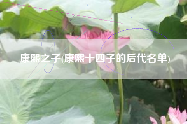 康熙之子(康熙十四子的后代名单)