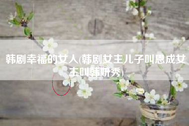 韩剧幸福的女人(韩剧女主儿子叫恩成女主叫韩妍秀)