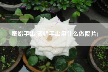 蜜蜡手串(蜜蜡手串用什么做隔片)