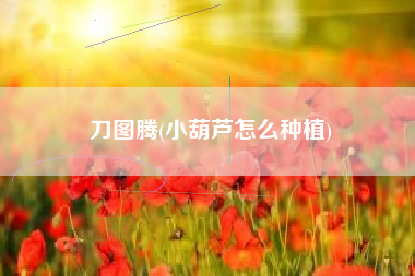 刀图腾(小葫芦怎么种植)