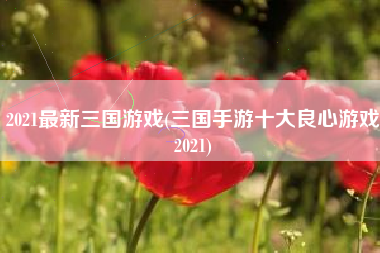 2021最新三国游戏(三国手游十大良心游戏2021)