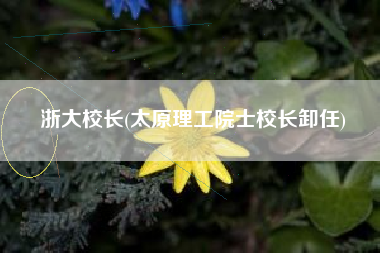 浙大校长(太原理工院士校长卸任)