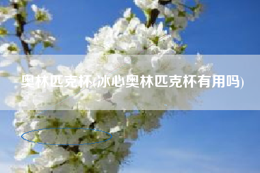 奥林匹克杯(冰心奥林匹克杯有用吗)