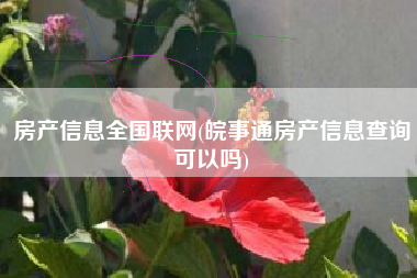 房产信息全国联网(皖事通房产信息查询可以吗)