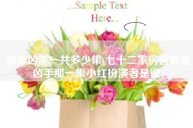 谁是凶手一共多少集(七十二家房客谁是凶手那一集小红扮演者是谁)