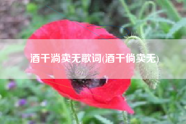 酒干淌卖无歌词(酒干倘卖无)