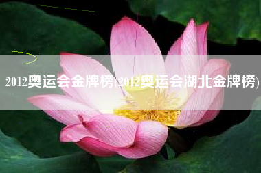 2012奥运会金牌榜(2012奥运会湖北金牌榜)