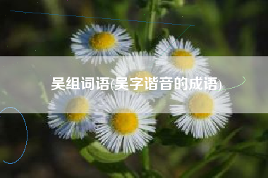 吴组词语(吴字谐音的成语)
