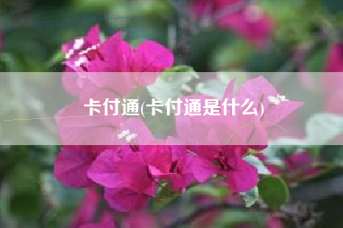 卡付通(卡付通是什么)