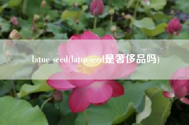 latue seed(latueseed是奢侈品吗)