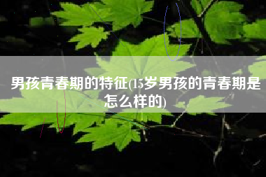男孩青春期的特征(15岁男孩的青春期是怎么样的)
