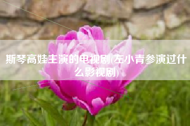 斯琴高娃主演的电视剧(左小青参演过什么影视剧)