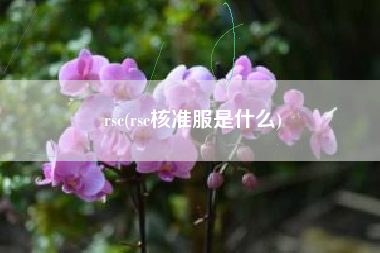rsc(rsc核准服是什么)