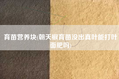 育苗营养块(朝天椒育苗没出真叶能打叶面肥吗)