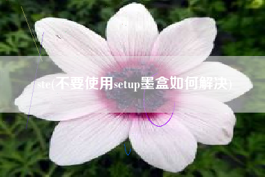 ste(不要使用setup墨盒如何解决)