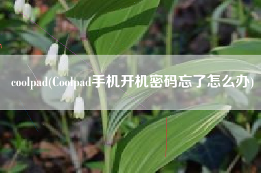 coolpad(Coolpad手机开机密码忘了怎么办)