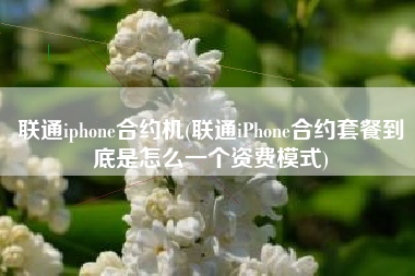 联通iphone合约机(联通iPhone合约套餐到底是怎么一个资费模式)