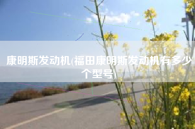 康明斯发动机(福田康明斯发动机有多少个型号)
