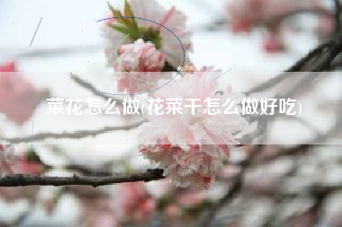 菜花怎么做(花菜干怎么做好吃)