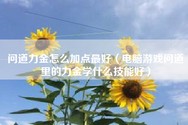 问道力金怎么加点最好（电脑游戏问道里的力金学什么技能好）