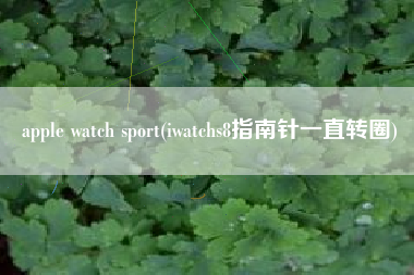 apple watch sport(iwatchs8指南针一直转圈)