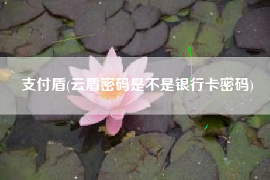 支付盾(云盾密码是不是银行卡密码)