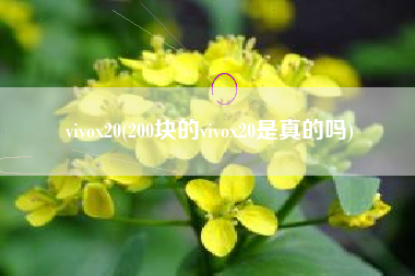 vivox20(200块的vivox20是真的吗)
